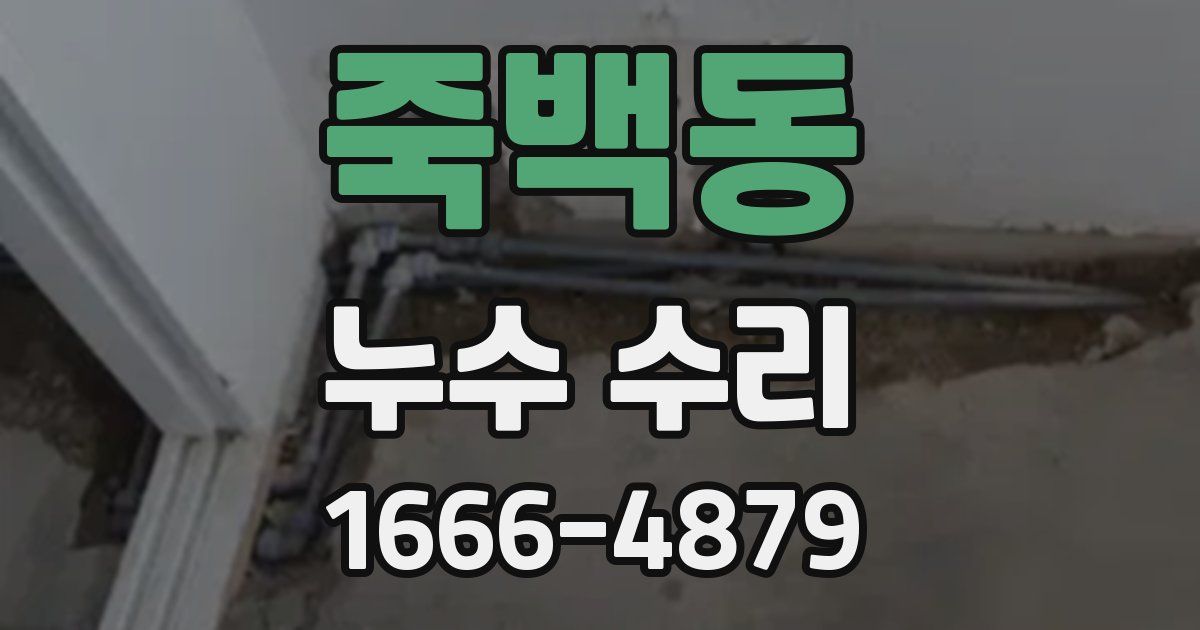 죽백동 누수 수리