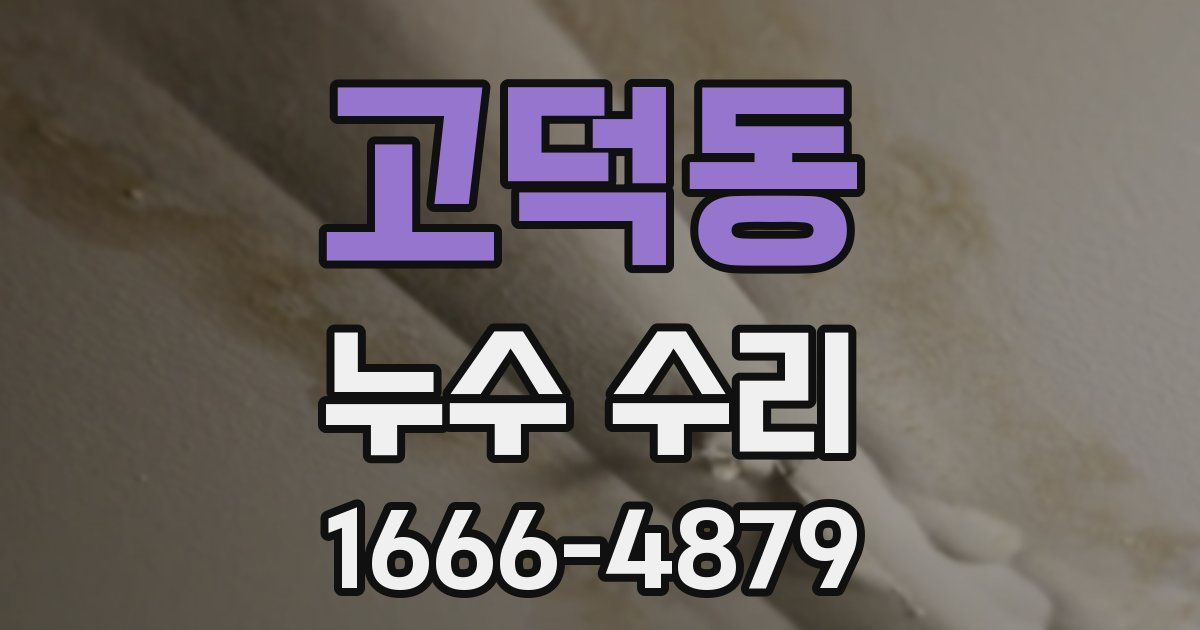 고덕동 누수 수리