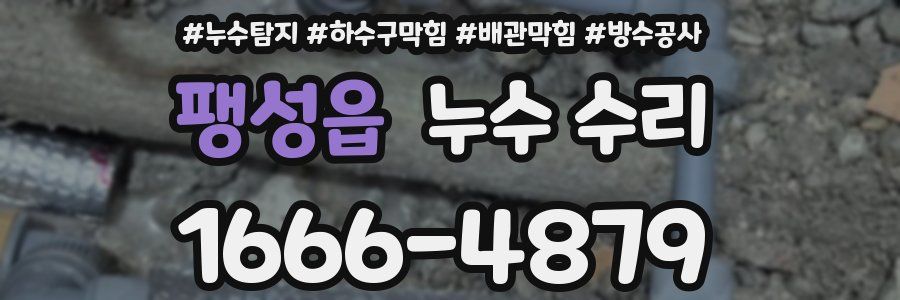 팽성읍 누수 수리