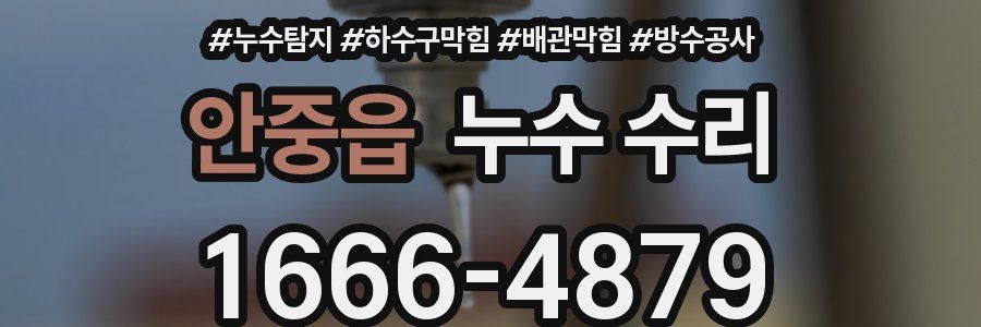 안중읍 누수 수리