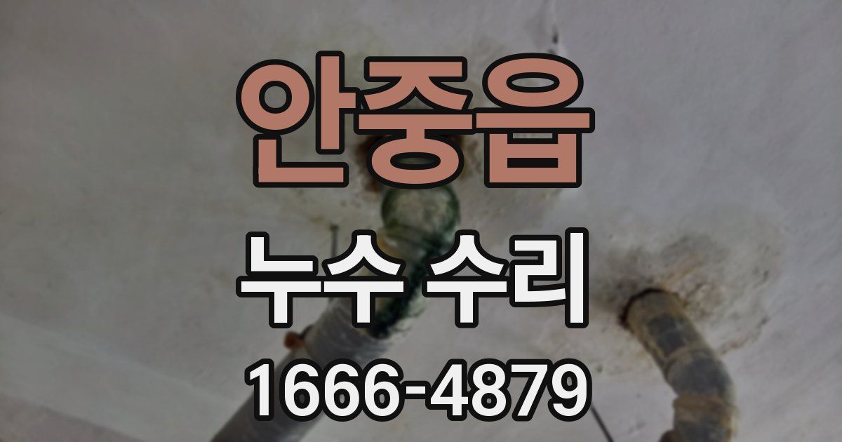 안중읍 누수 수리