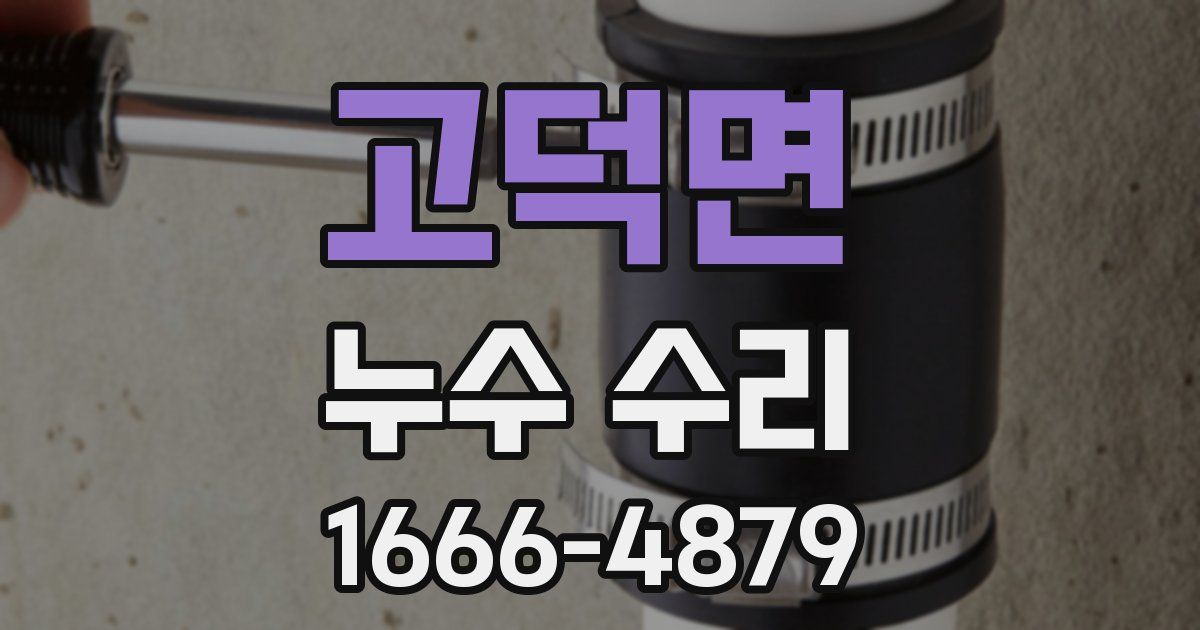 고덕면 누수 수리