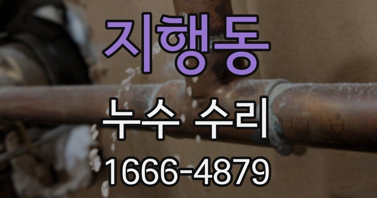 지행동 누수 수리