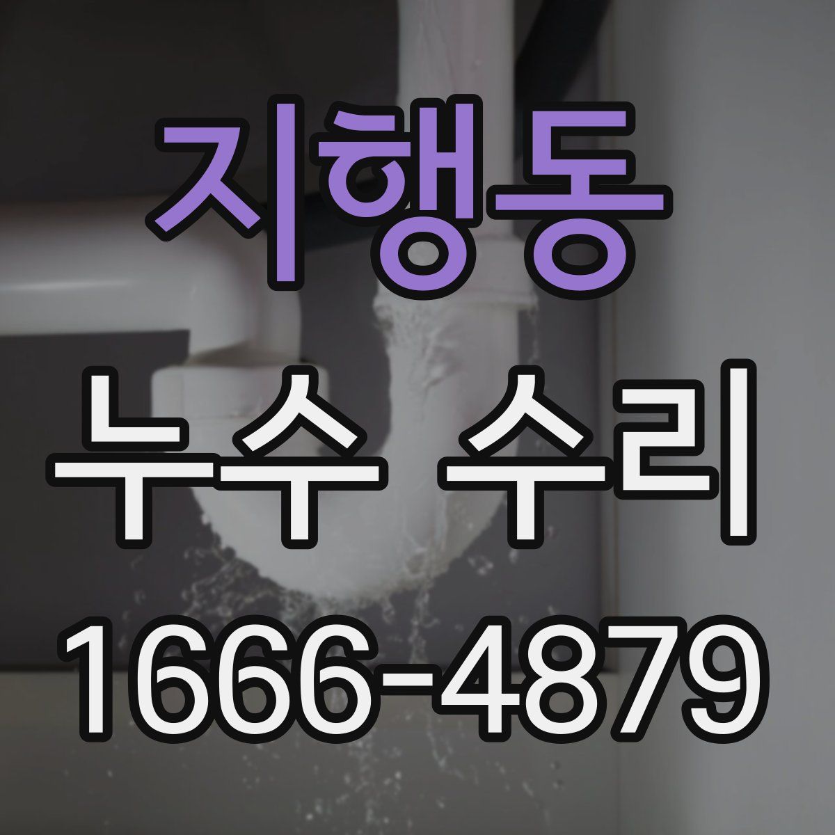 지행동 누수 수리