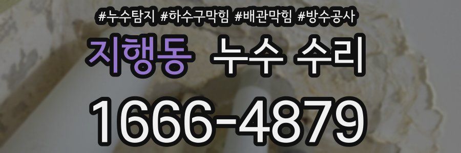 지행동 누수 수리