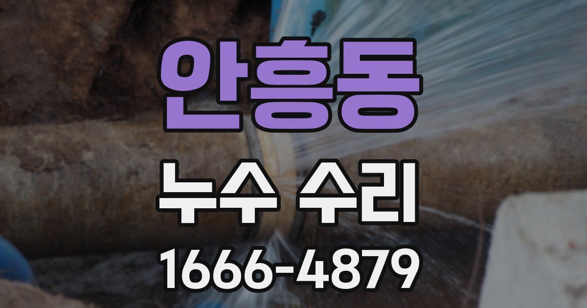 안흥동 누수 수리