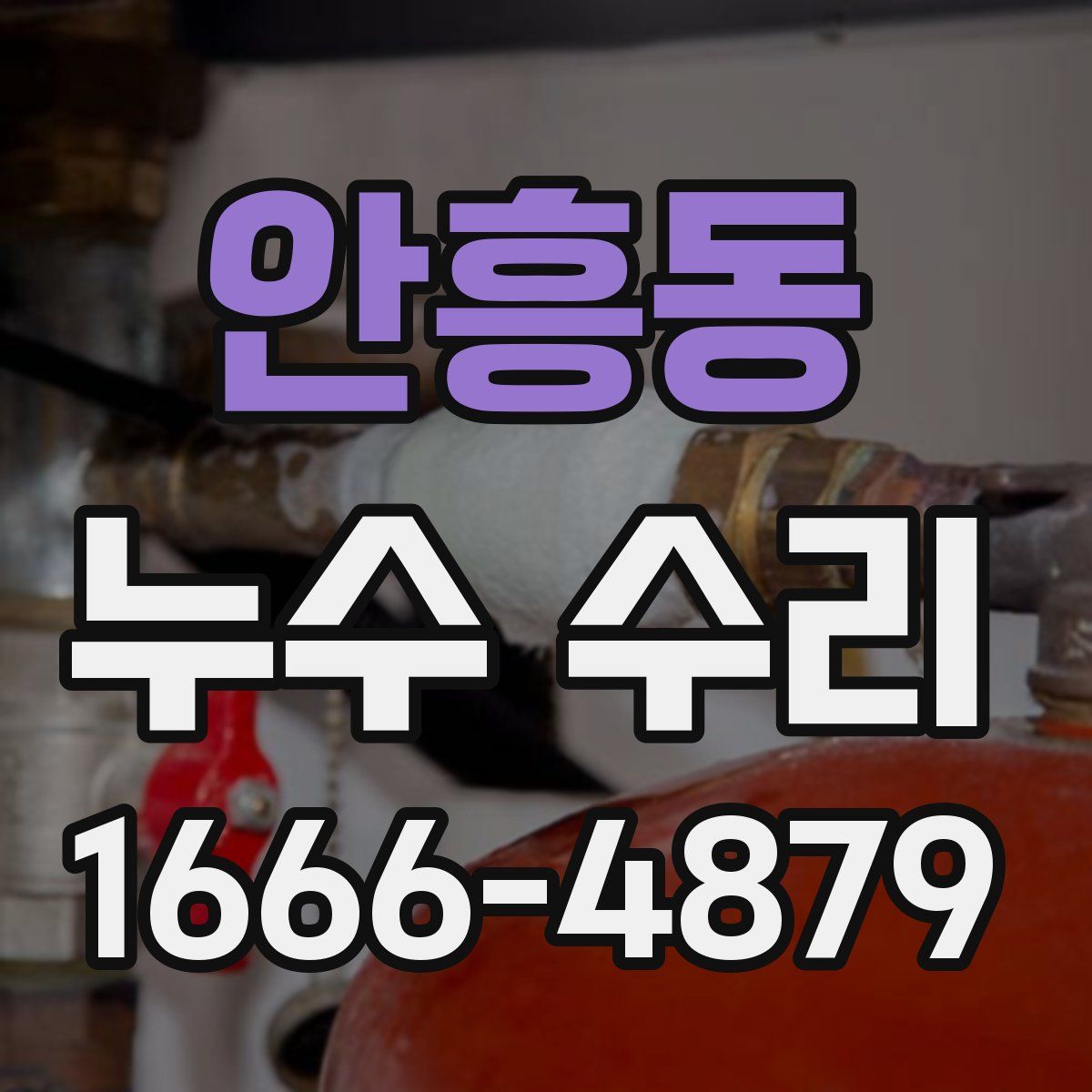 안흥동 누수 수리