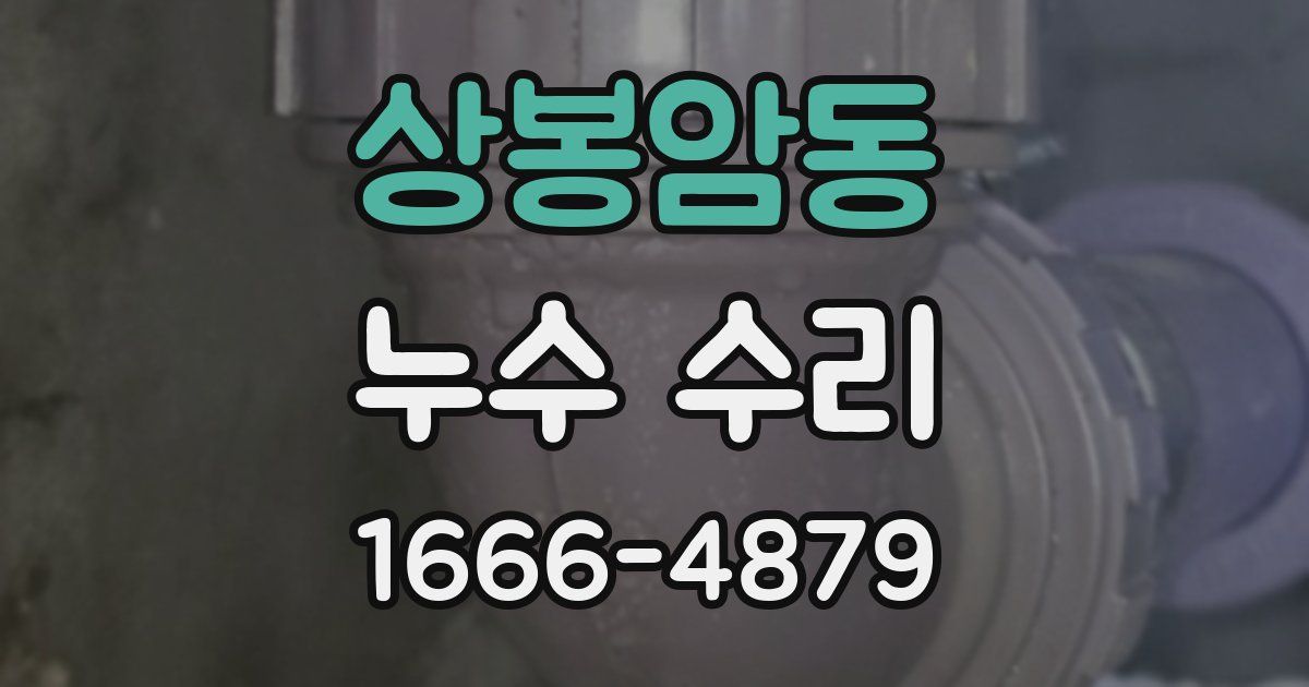 상봉암동 누수 수리