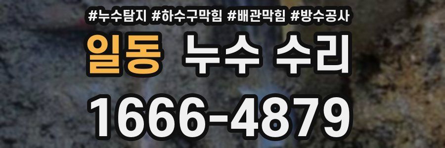 일동 누수 수리