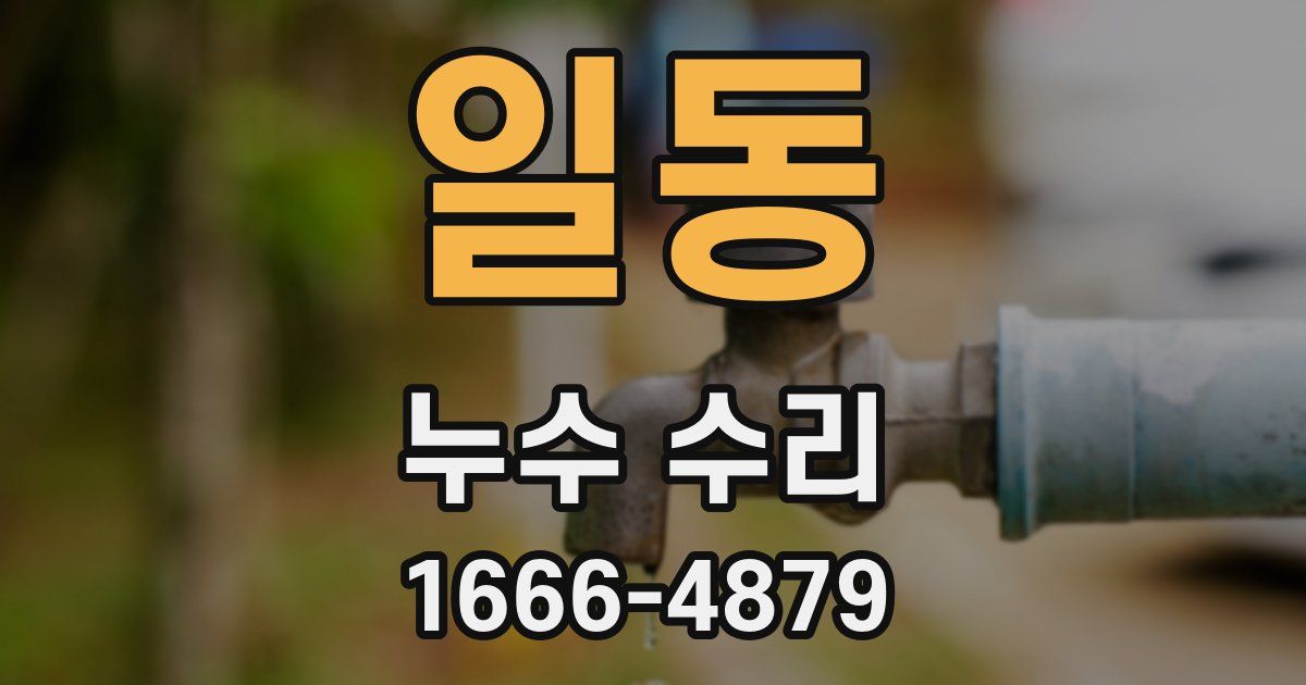 일동 누수 수리