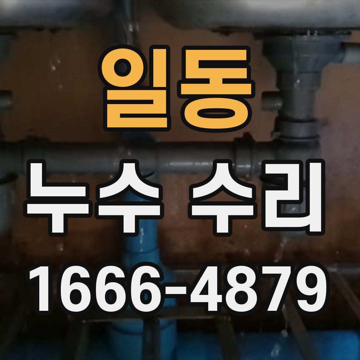 일동 누수 수리