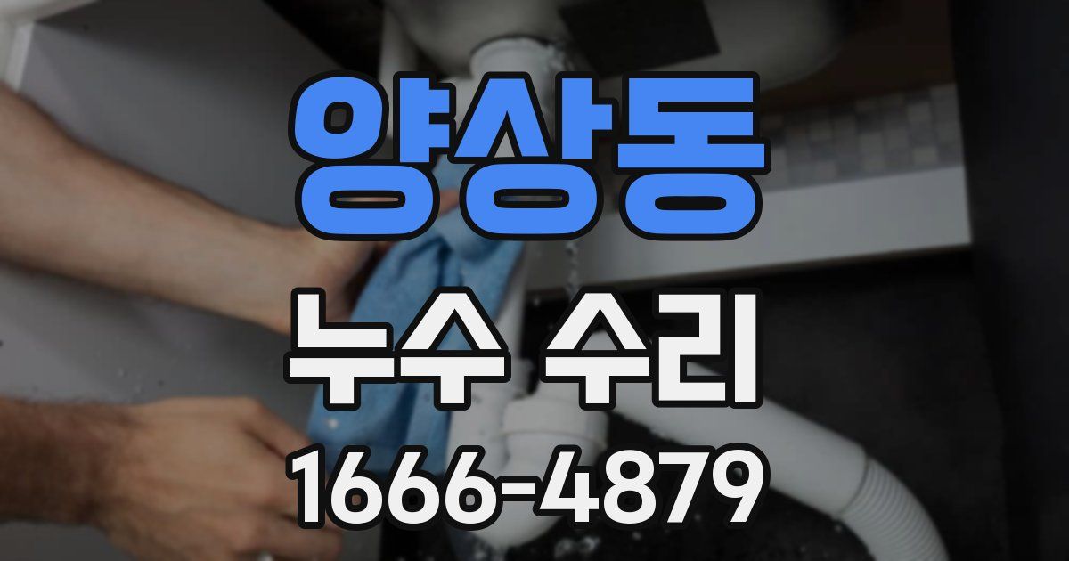 양상동 누수 수리