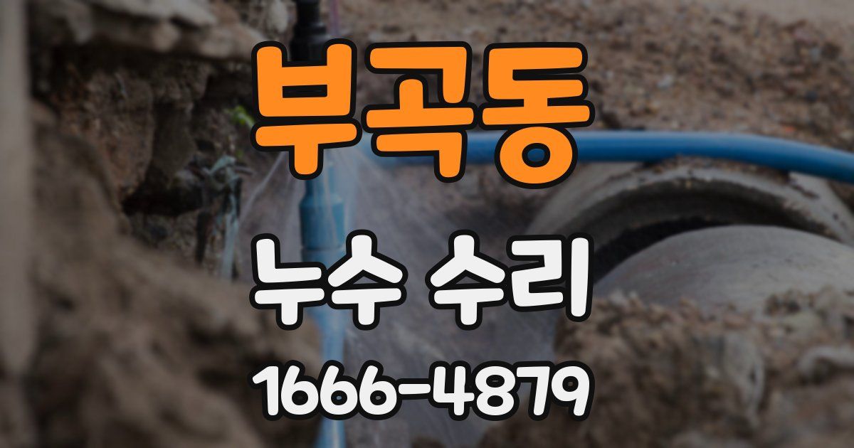 부곡동 누수 수리