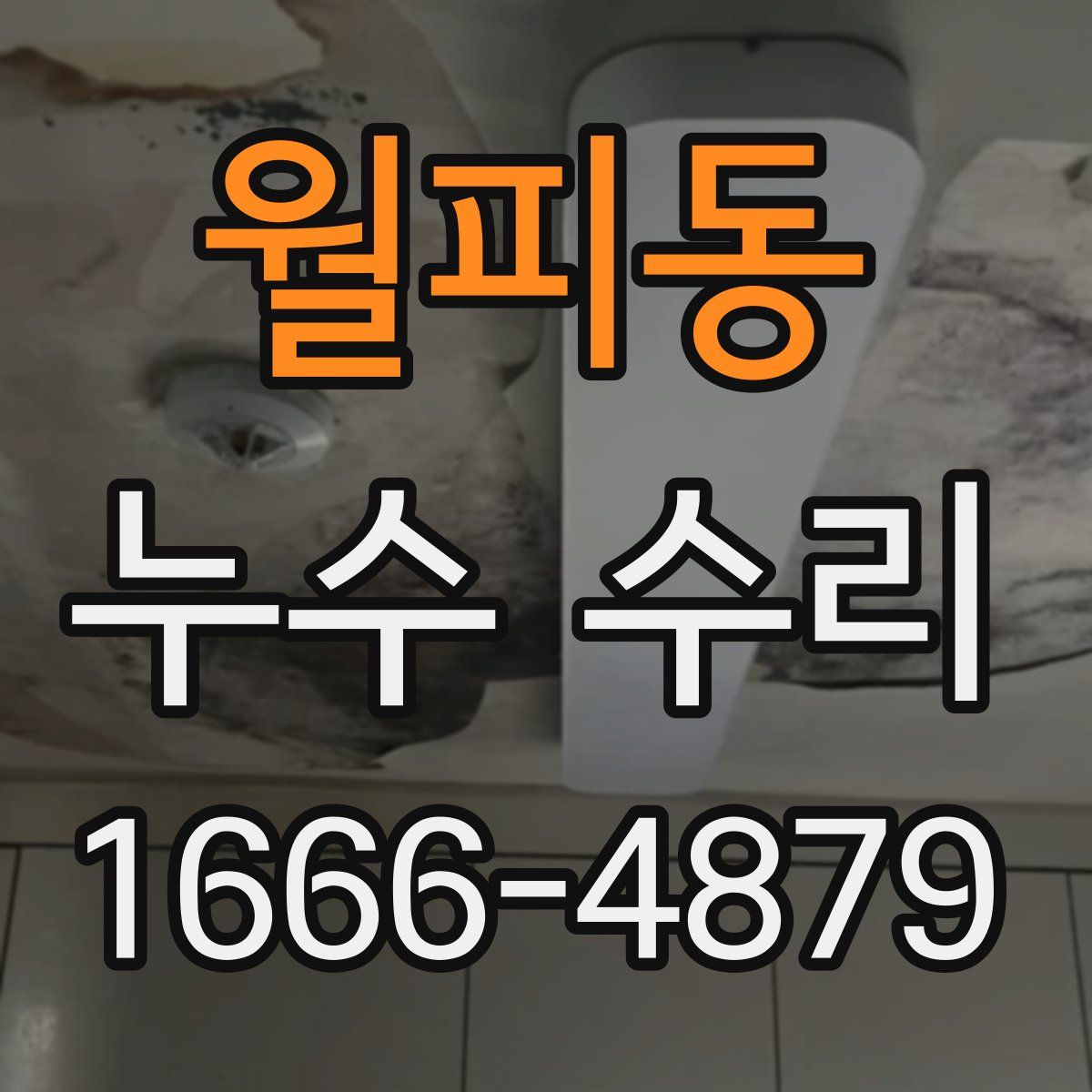 월피동 누수 수리