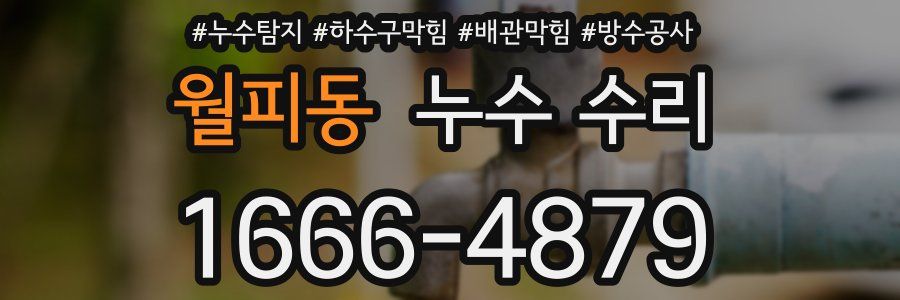 월피동 누수 수리