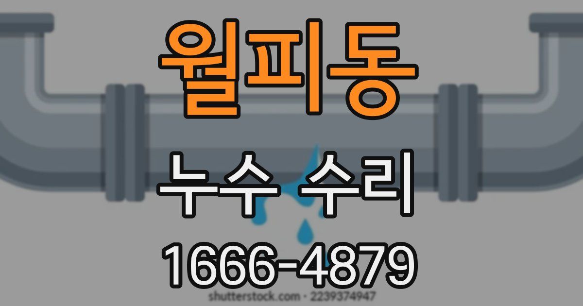 월피동 누수 수리