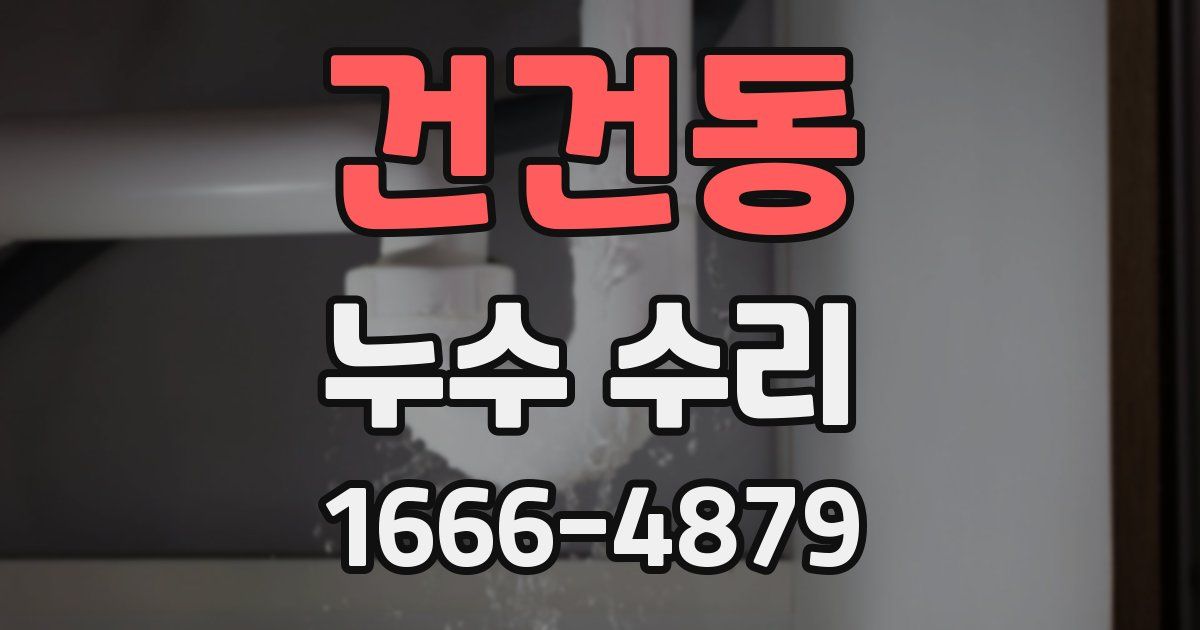 건건동 누수 수리