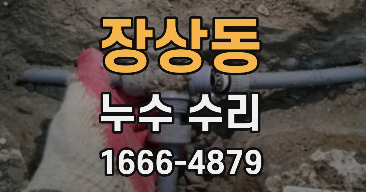 장상동 누수 수리