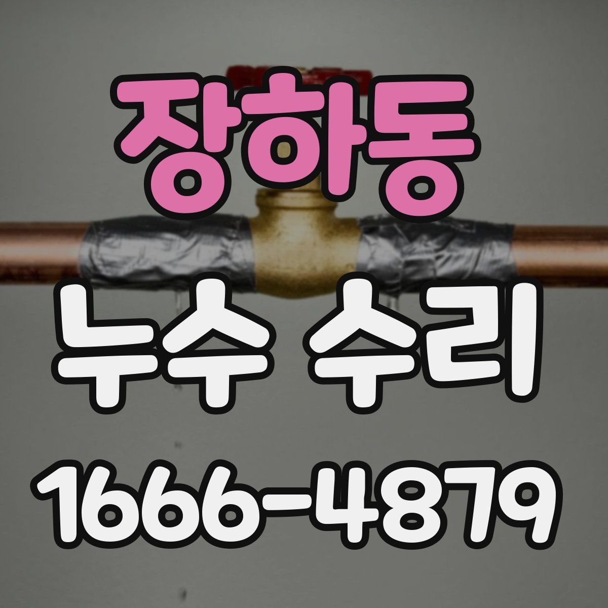 장하동 누수 수리