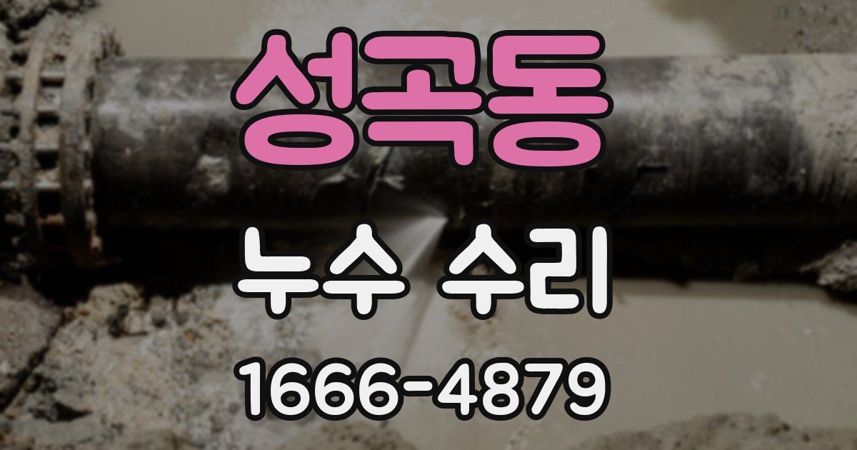 성곡동 누수 수리