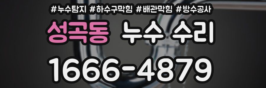 성곡동 누수 수리