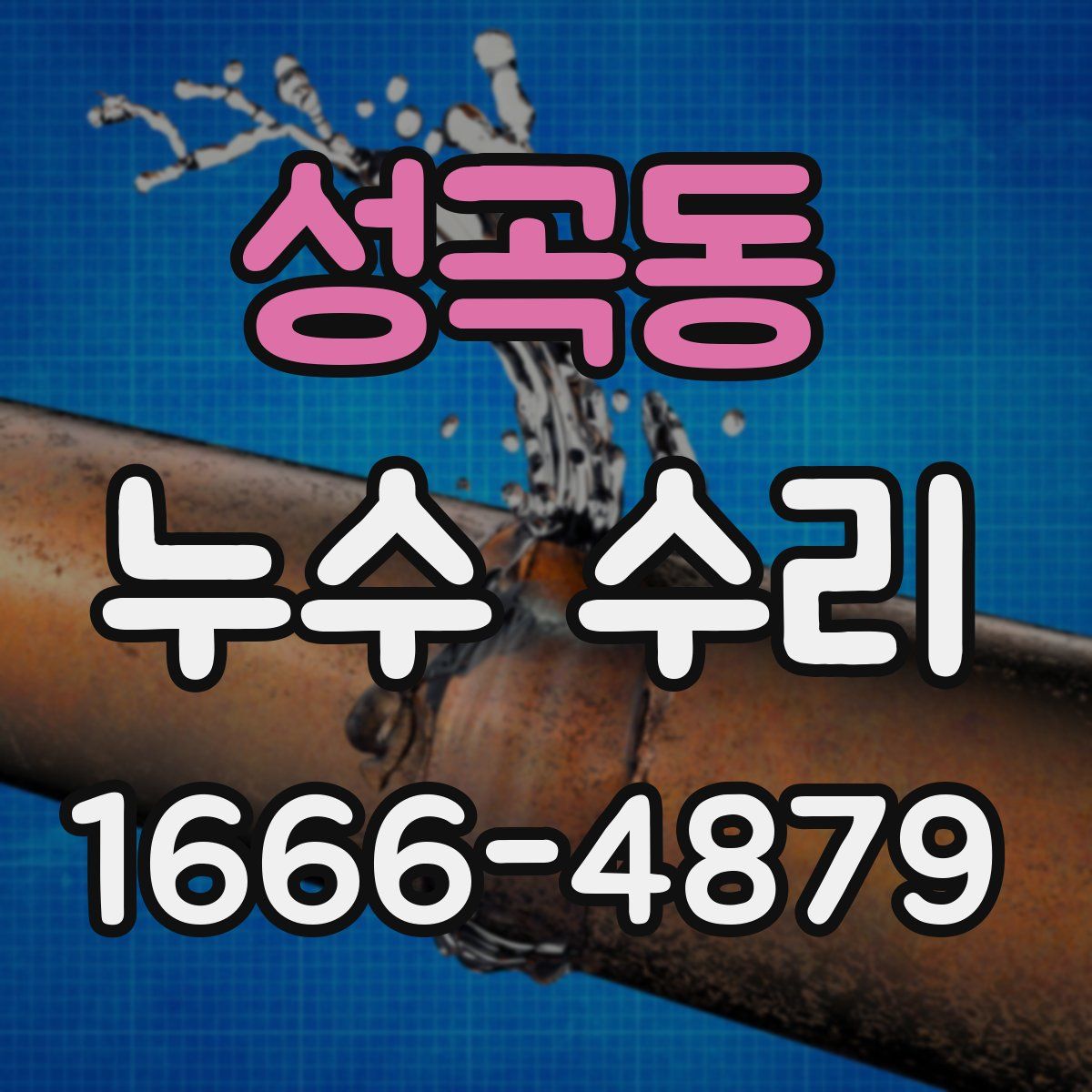 성곡동 누수 수리
