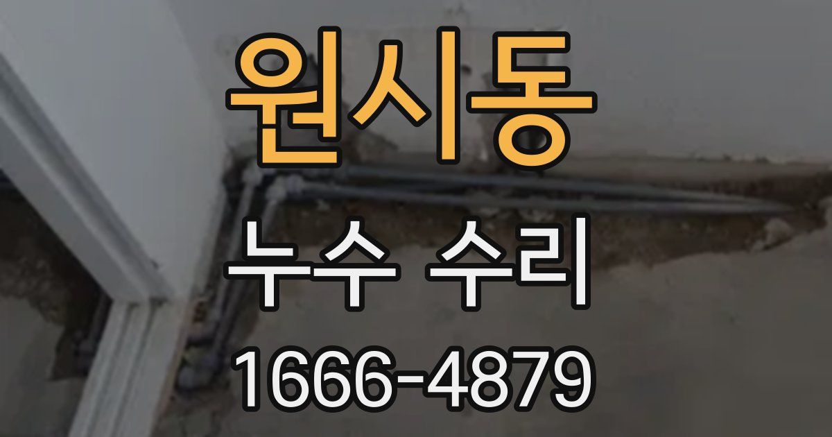 원시동 누수 수리