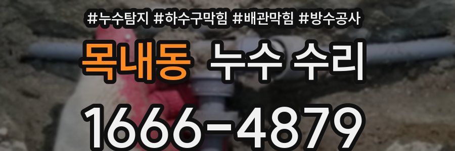 목내동 누수 수리