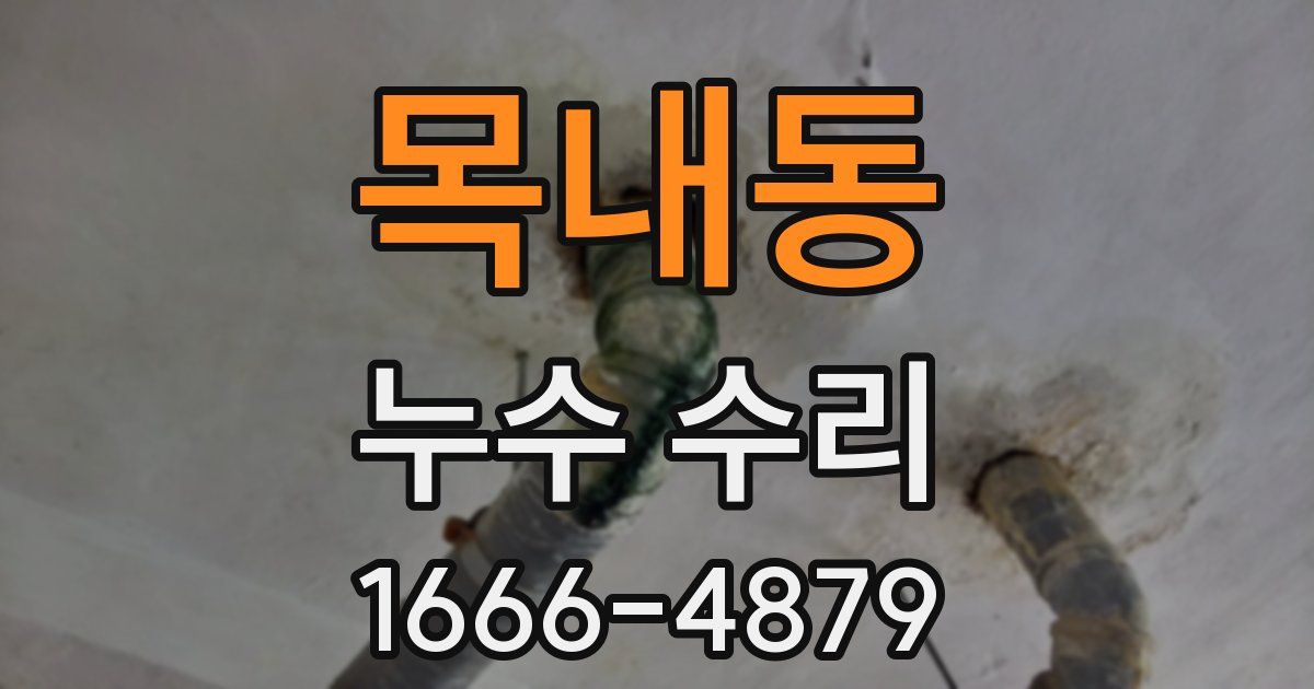 목내동 누수 수리