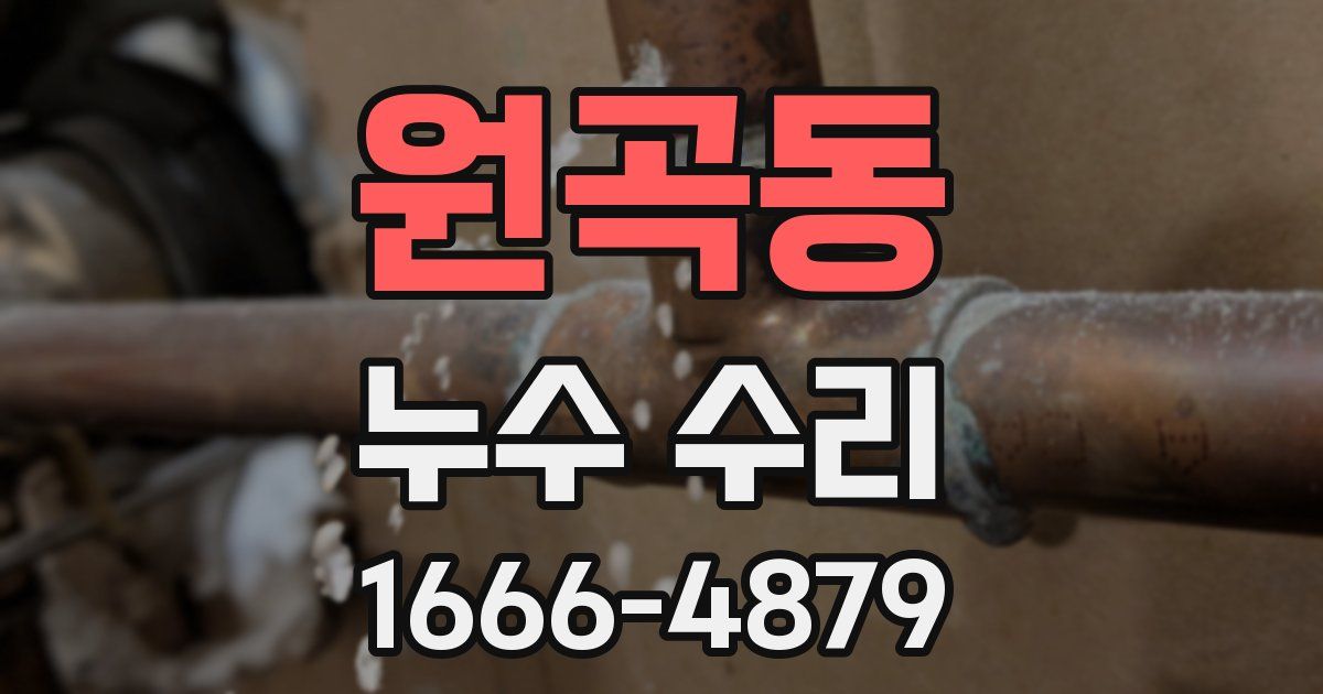원곡동 누수 수리