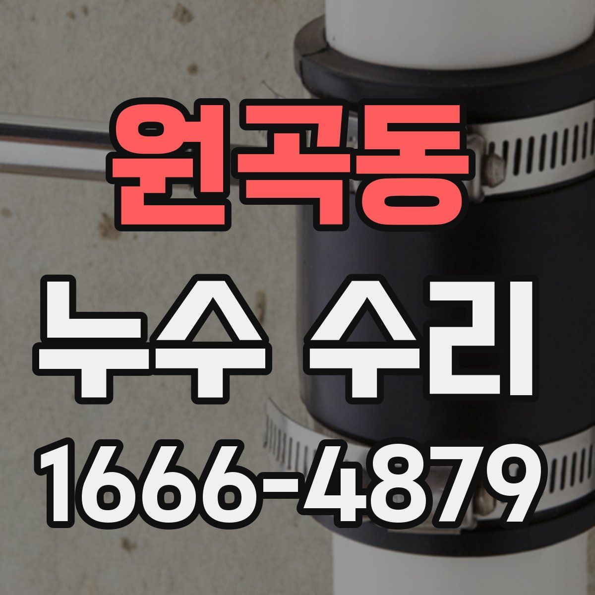원곡동 누수 수리