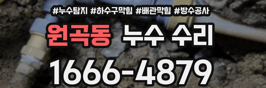 원곡동 누수 수리