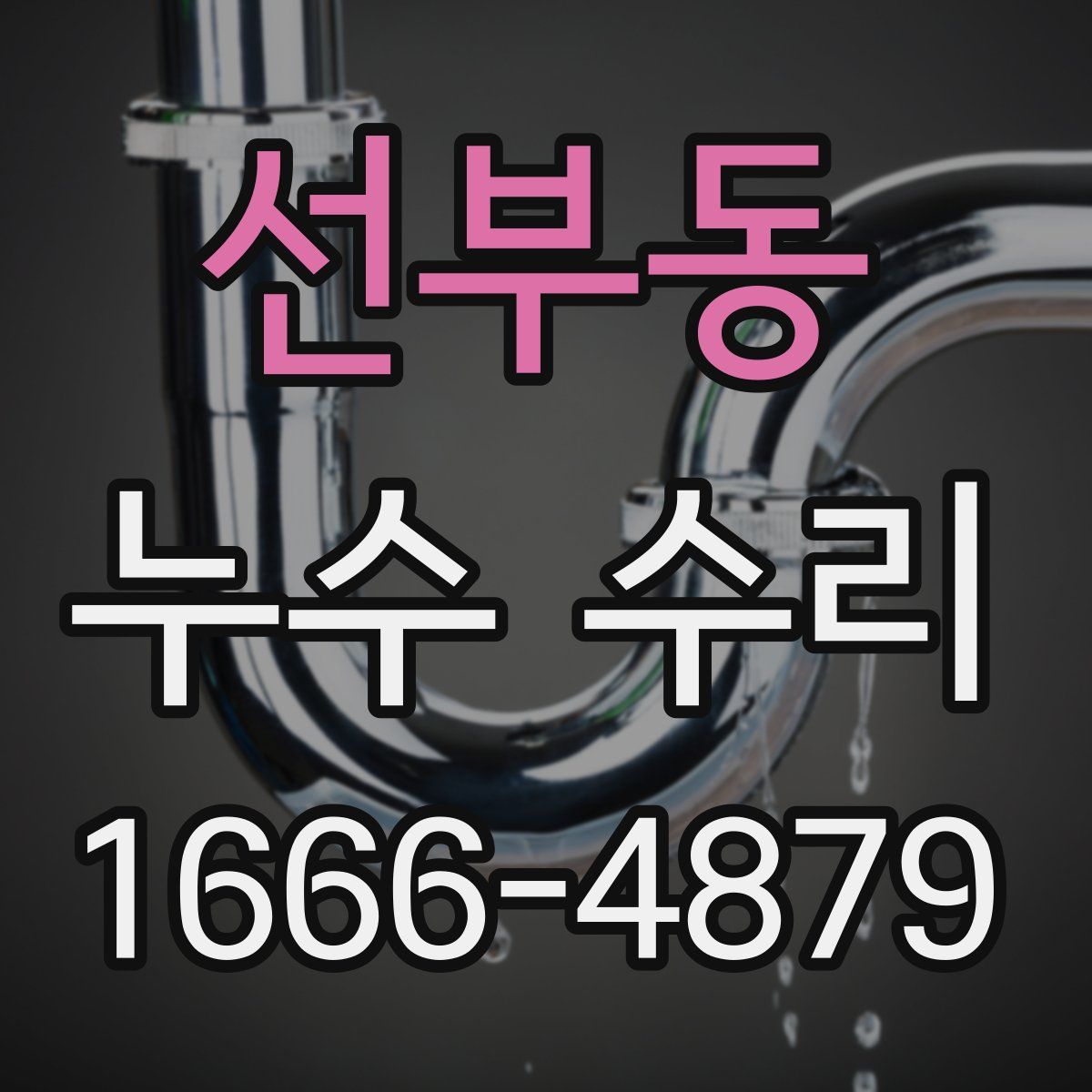 선부동 누수 수리