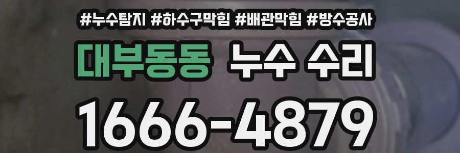 대부동동 누수 수리