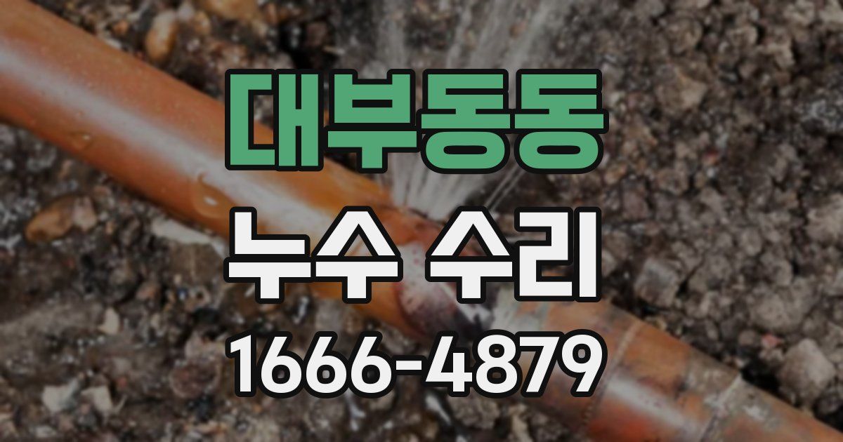 대부동동 누수 수리