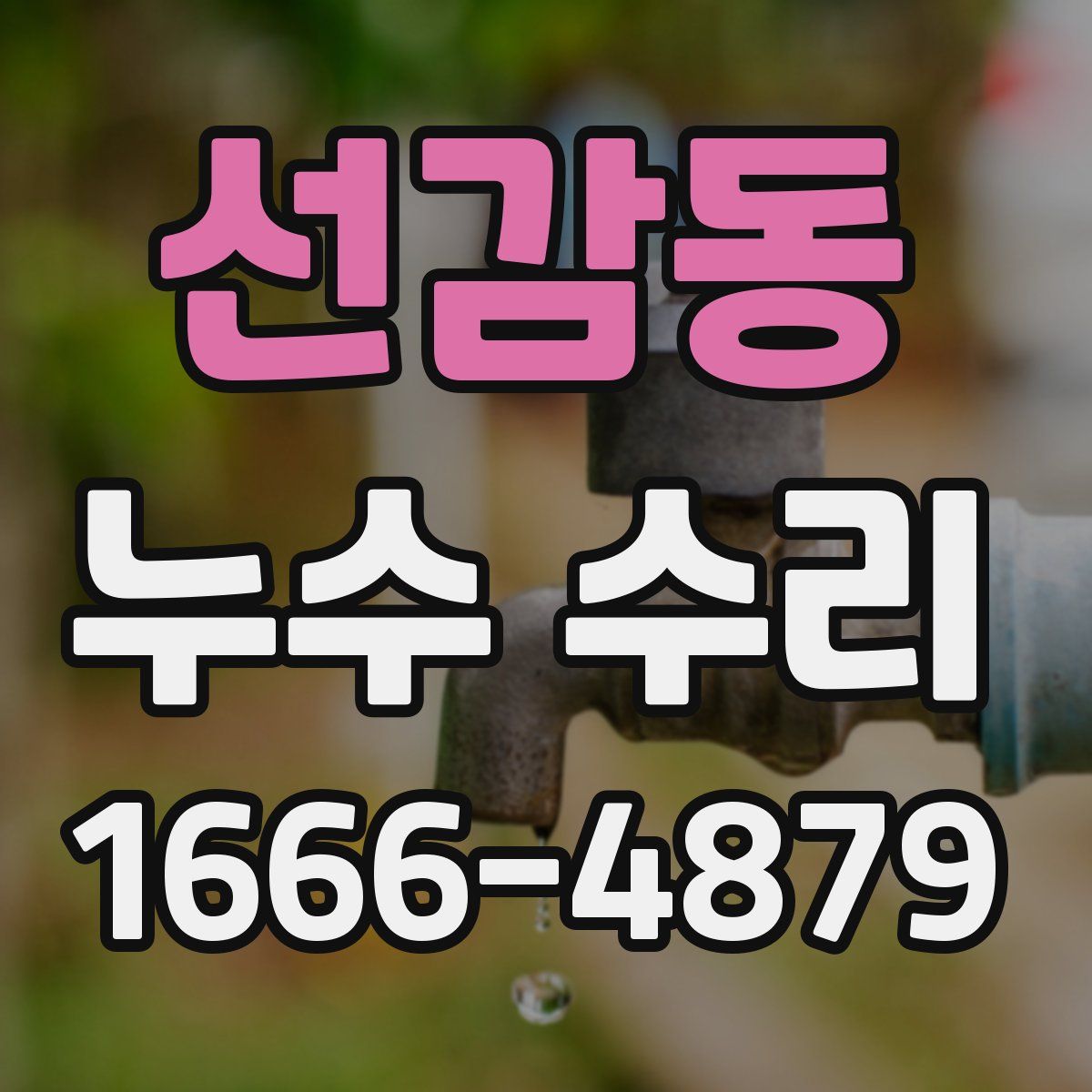 선감동 누수 수리