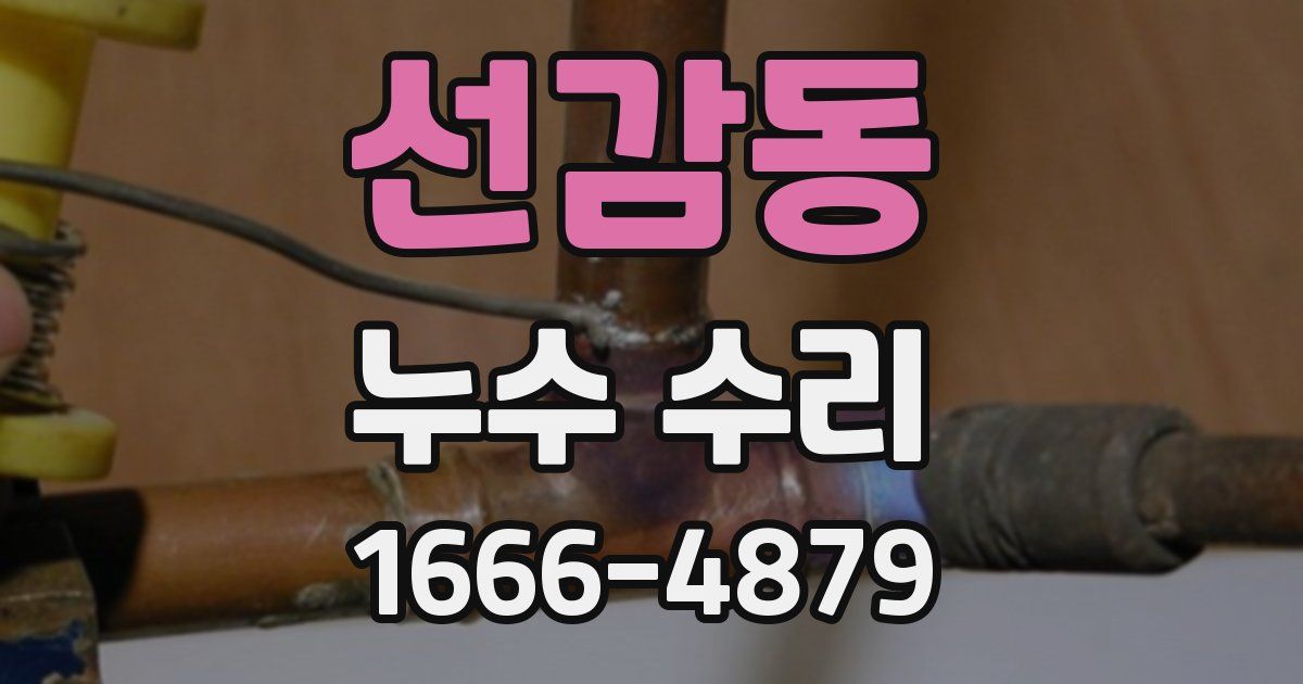 선감동 누수 수리