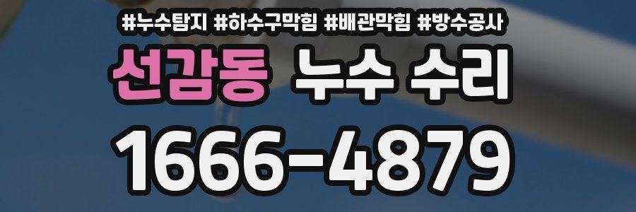 선감동 누수 수리