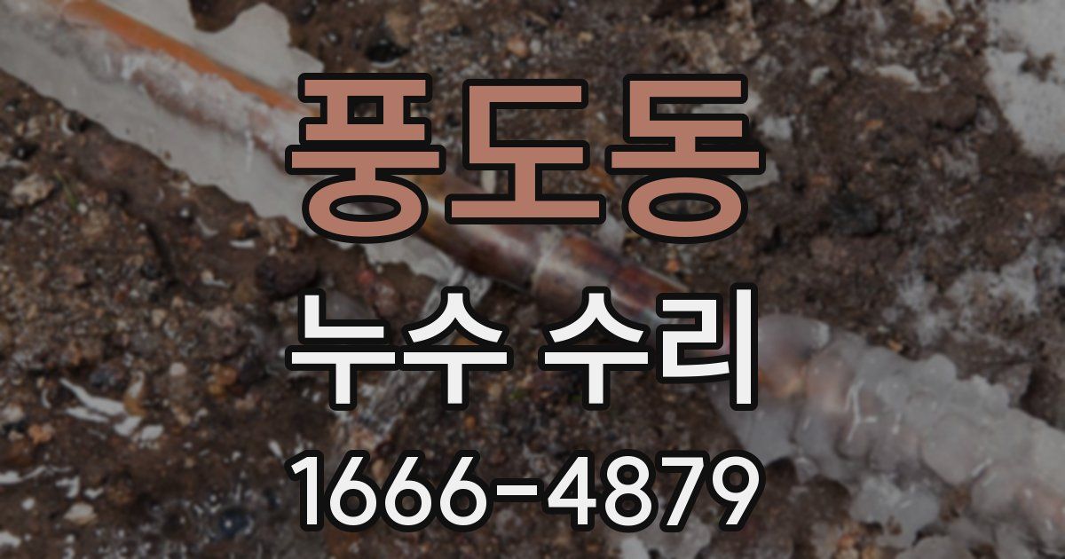 풍도동 누수 수리