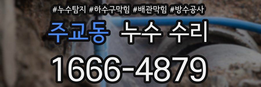 주교동 누수 수리