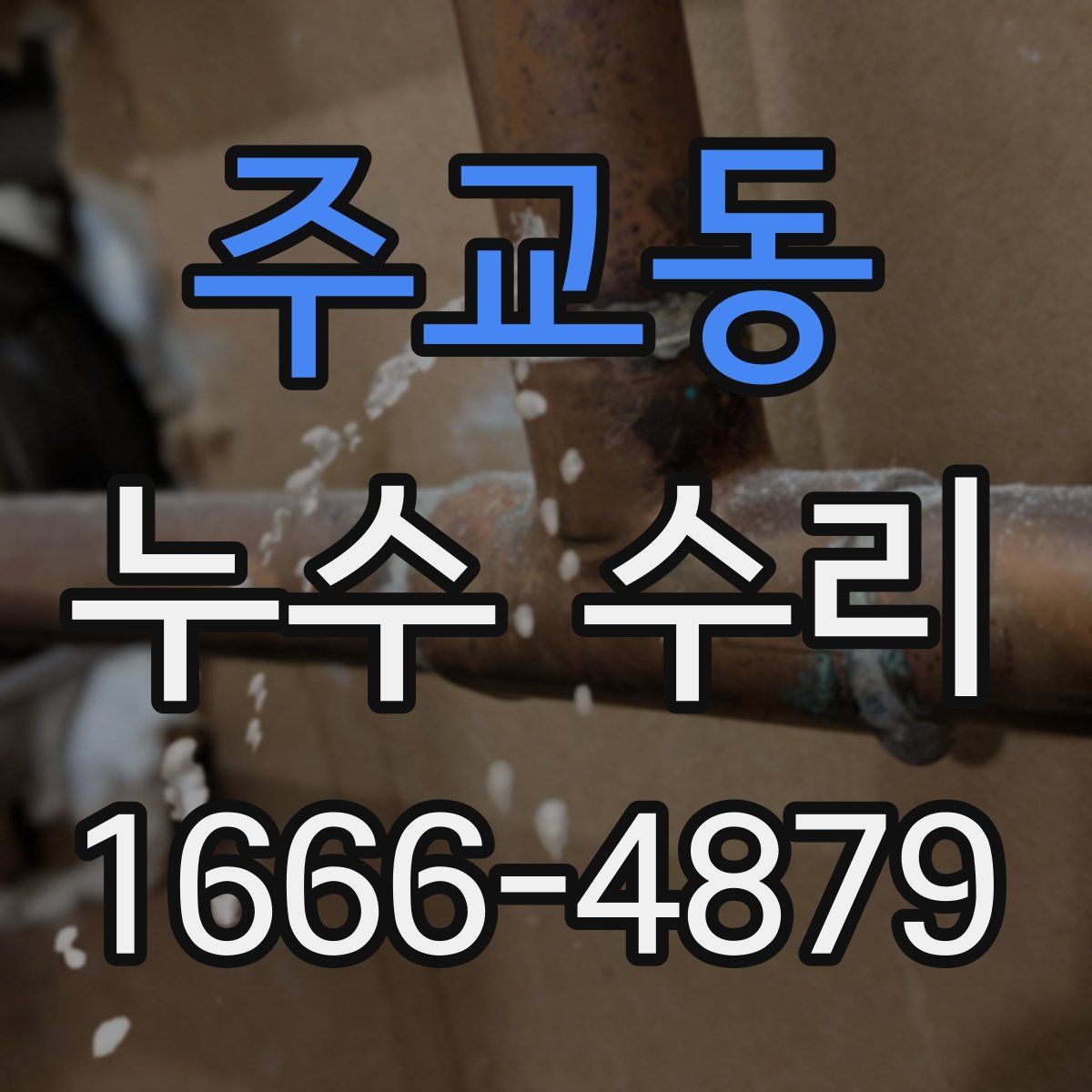 주교동 누수 수리