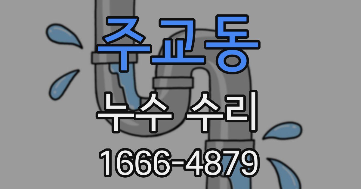 주교동 누수 수리