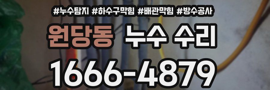 원당동 누수 수리