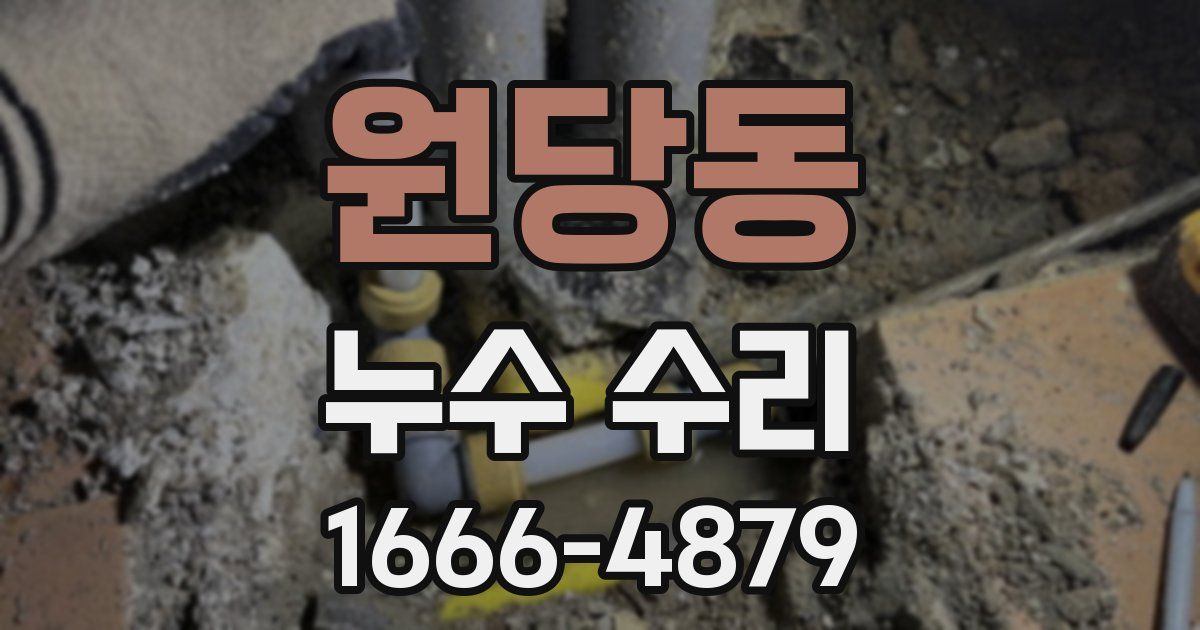 원당동 누수 수리