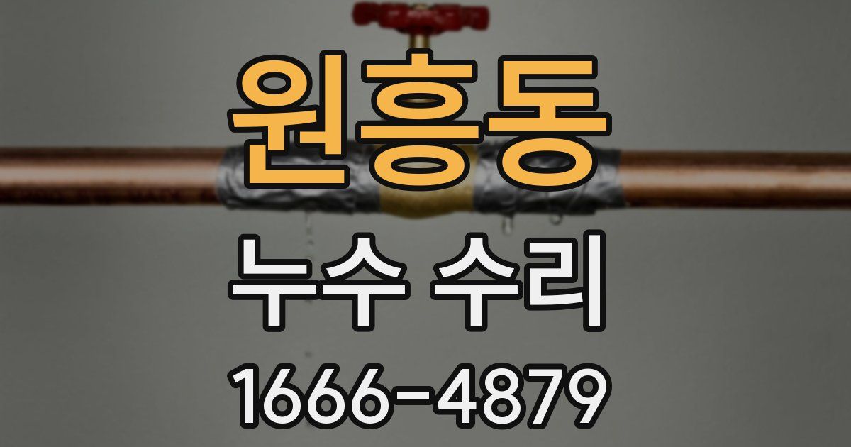 원흥동 누수 수리