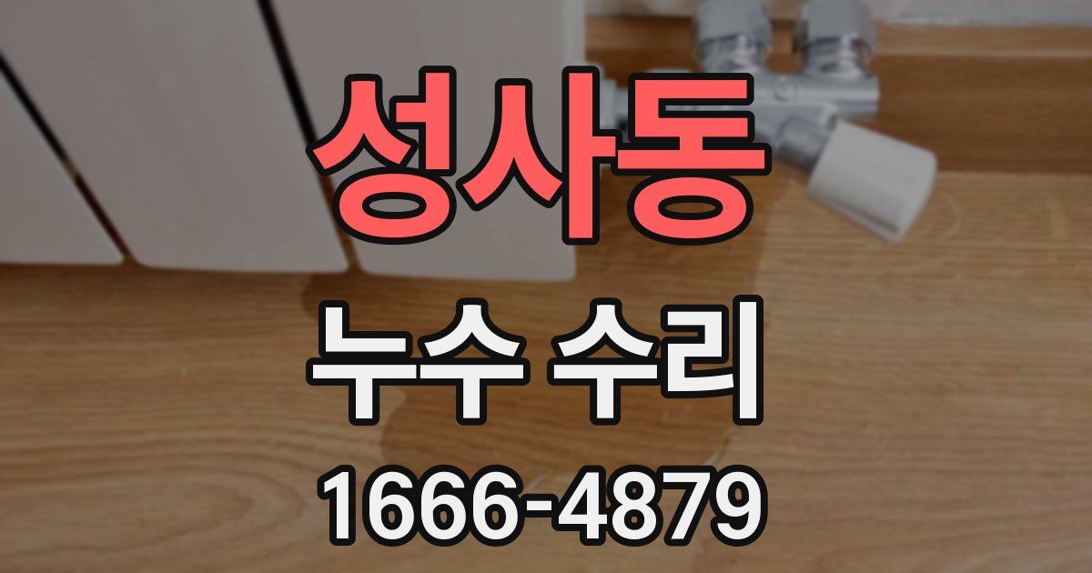 성사동 누수 수리