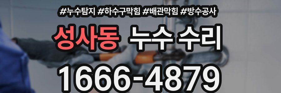 성사동 누수 수리
