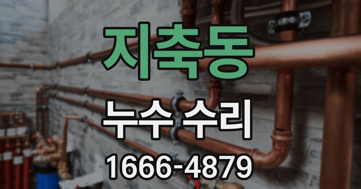 지축동 누수 수리