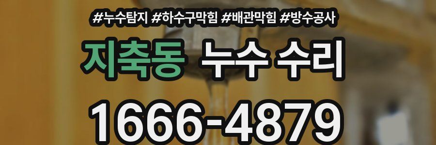 지축동 누수 수리