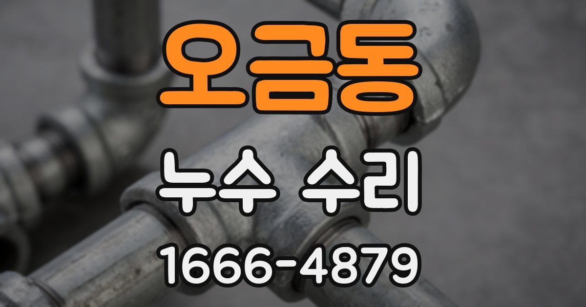 오금동 누수 수리